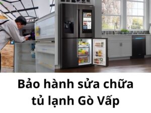 Bảo Hành Sửa Chữa Tủ Lạnh Gò Vấp